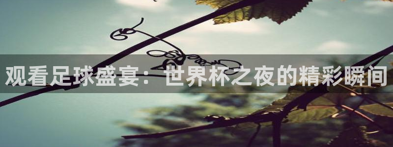 2026世界杯官网：观看足球盛宴：世界杯之夜的精彩瞬间