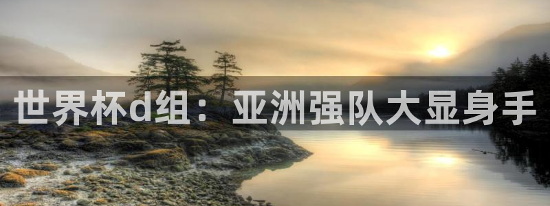 2026世界杯赛程时间表最新：世界杯d组：亚洲强队大显身手
