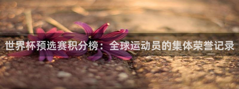 2026世界杯官网入口：世界杯预选赛积分榜：全球运动员的集体荣誉记录