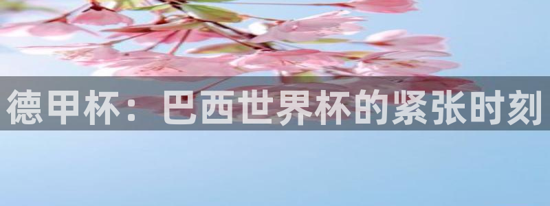 足球世界杯时间：德甲杯：巴西世界杯的紧张时刻