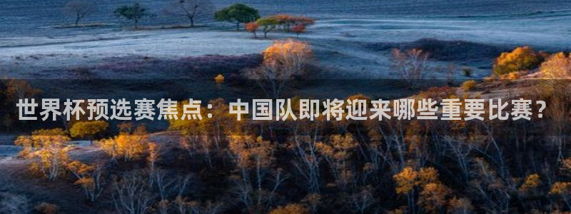 世界杯直播：世界杯预选赛焦点：中国队即将迎来哪些重要比赛？