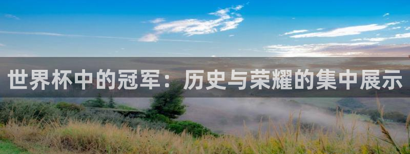 2026世界杯日期：世界杯中的冠军：历史与荣耀的集中展示