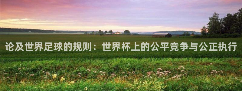 欧洲世预赛赛程表：论及世界足球的规则：世界杯上的公平竞争与公正执行